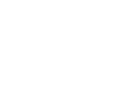 Healthcare digital marketing services icon